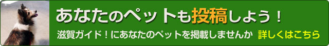 「わが家のペット自慢」の投稿はこちら