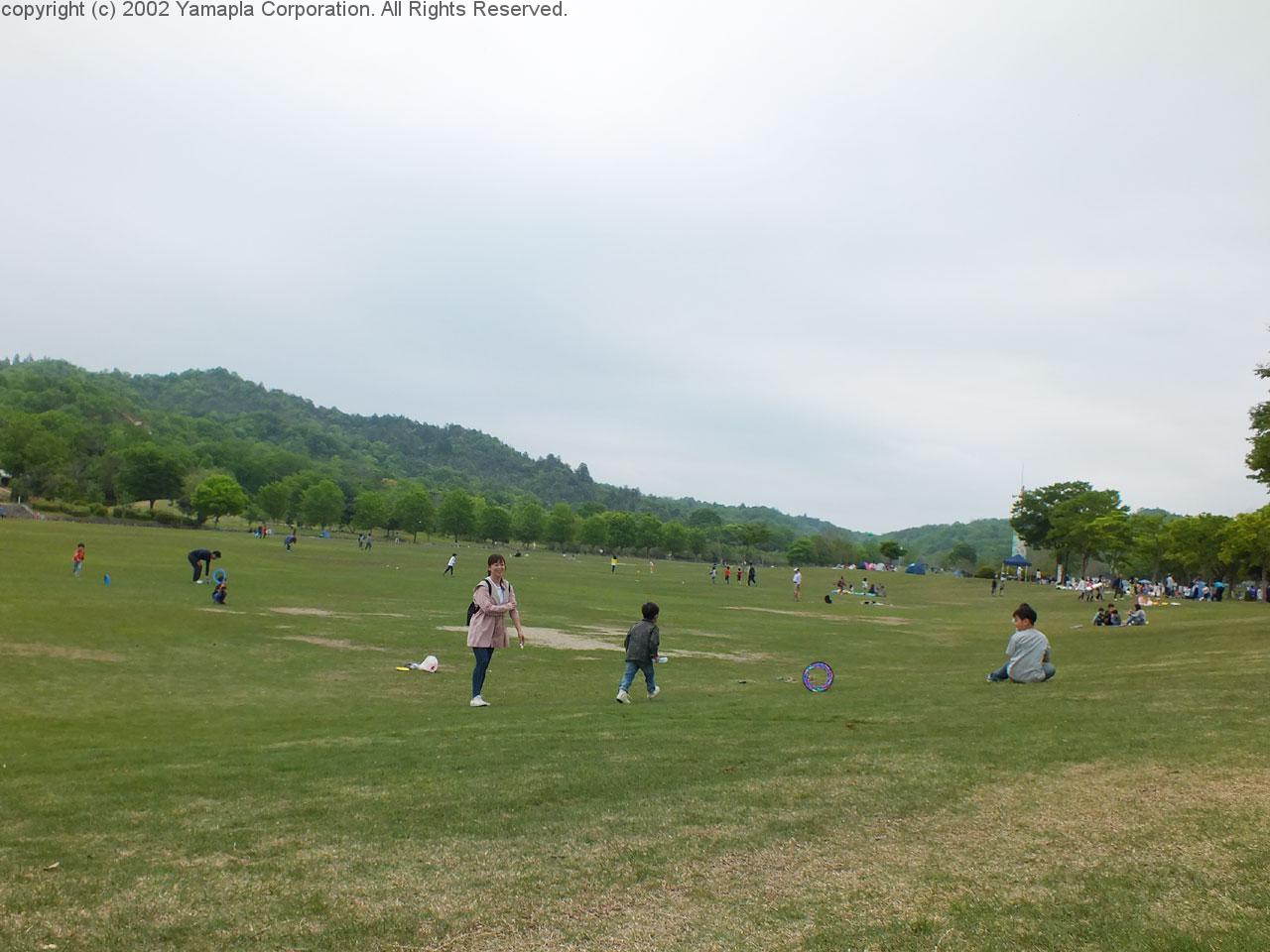 新緑眩しい 希望が丘文化公園 滋賀ガイド 新緑眩しい 希望が丘文化公園 滋賀ガイド