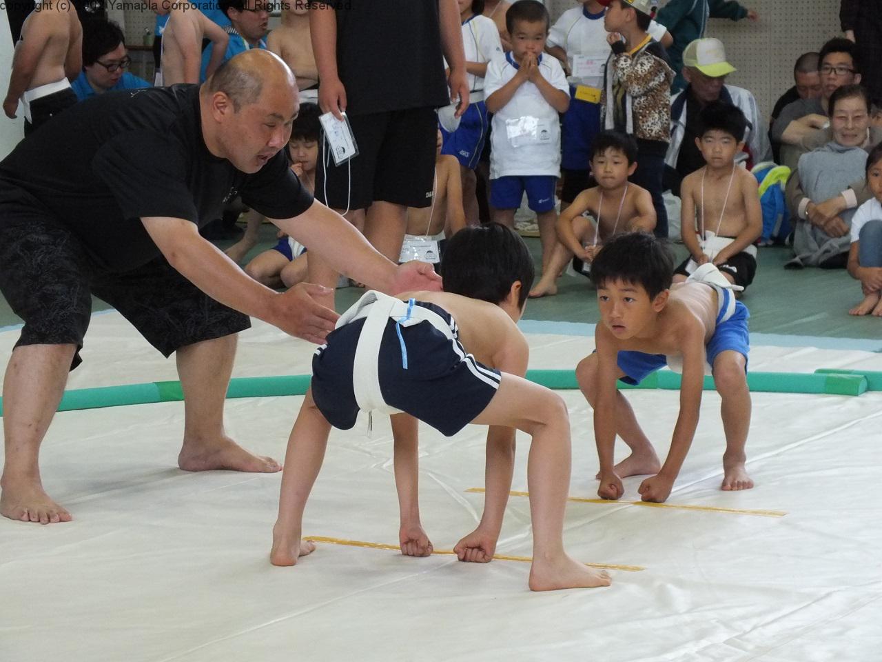 わんぱく相撲 滋賀県大会 滋賀ガイド