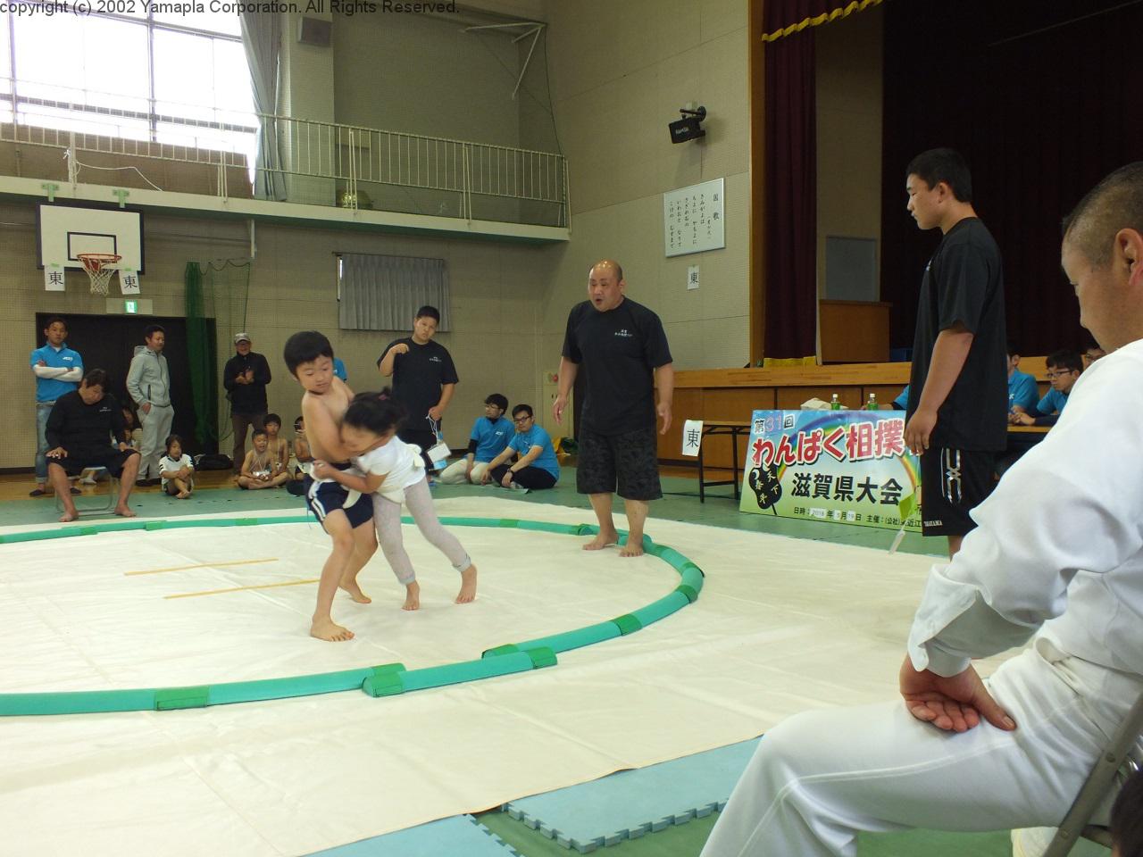 わんぱく相撲 滋賀県大会 滋賀ガイド