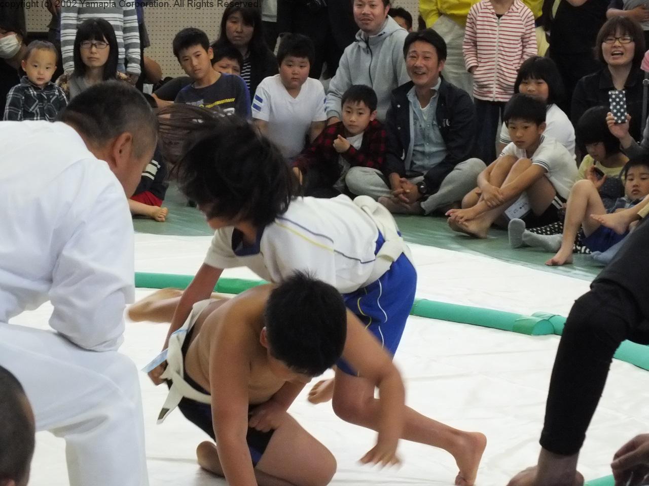 わんぱく相撲 滋賀県大会 滋賀ガイド