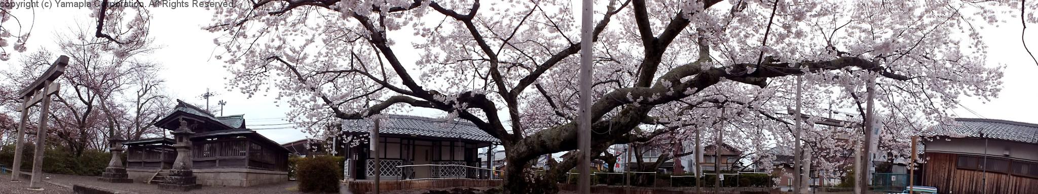 水口 藤栄神社 滋賀ガイド 水口 藤栄神社 滋賀ガイド