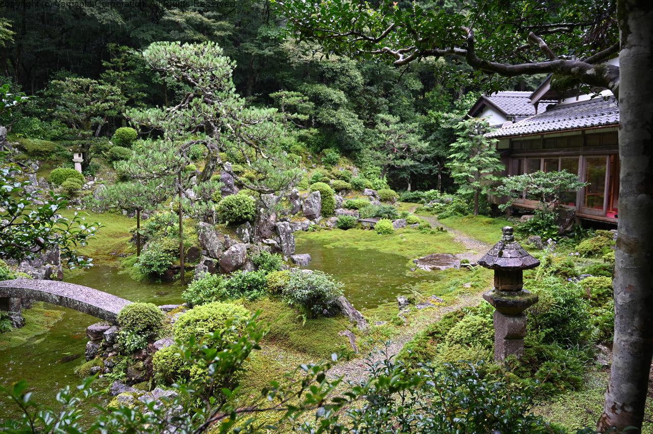 池泉庭園と化した苔の枯山水 青岸寺 滋賀ガイド