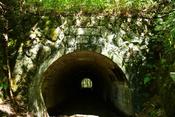杉の対岸にある大澤隧道