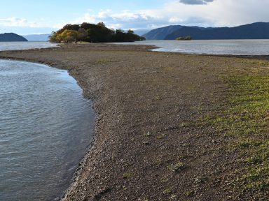 バイオリン製作工房ウォルナット 細野 正洋さん （近江八幡市在住・70