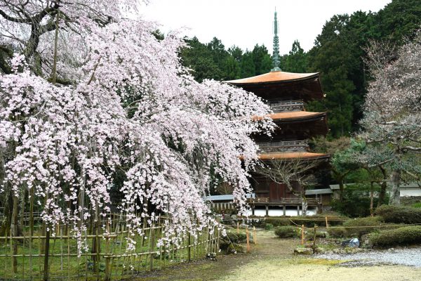 徳源院三重塔（江戸時代初期・県指定文化財）