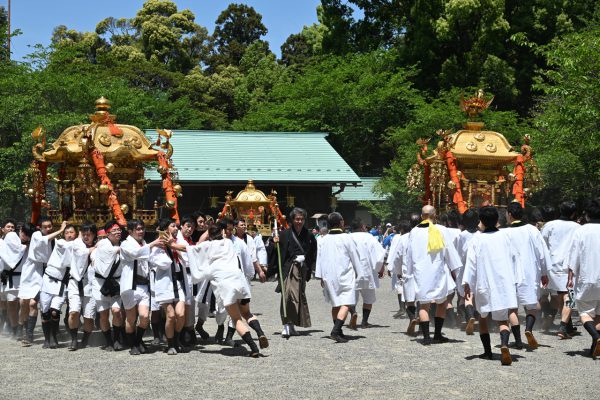 三基の神輿と二基の子ども神輿