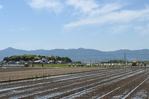 小津神社の杜の先には比叡山や比良山系が望める　祭りの列は総勢200余名に及ぶ