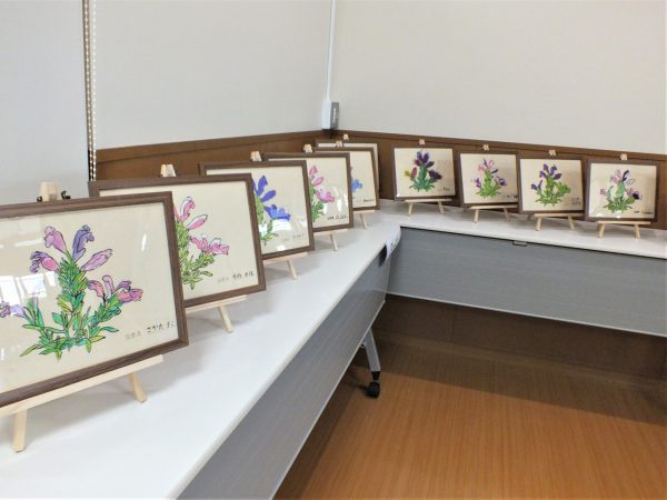 センター内には地元の小学生が描いたムシャリンドウの絵が展示されている