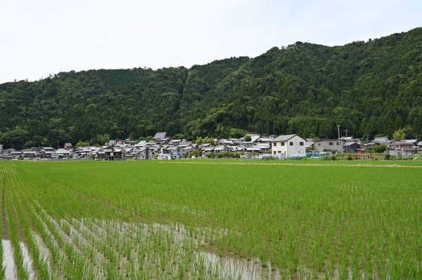 賤ヶ岳の麓に広がる大音集落