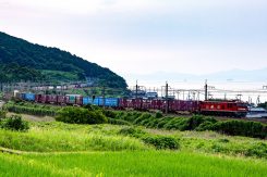 北小松~近江高島間は、湖西線屈指の撮影スポット