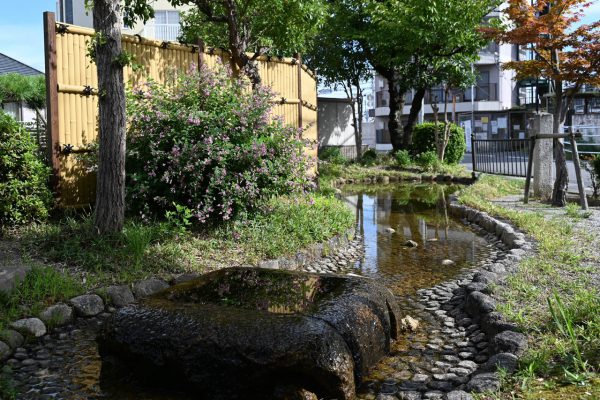 旧東海道沿いに復元された野路の玉川