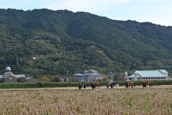 県立安土城考古博物館や信長の館などがある文芸の郷