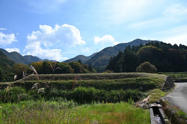 雨乞岳を越え伊勢へと続く