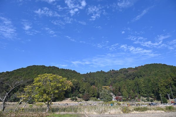 安土山（標高199メートル）