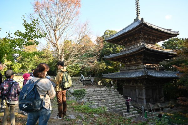 室町時代に建てられた總見寺三重塔（国・重要文化財）