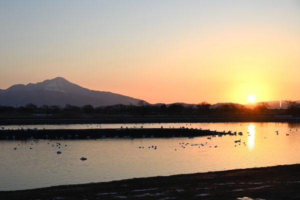 伊吹山が見える早崎ビオトープ