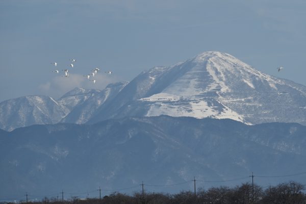 雪化粧した伊吹山