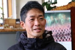 滋賀県 郷土玩具 小幡土人形・玉取り姫・龍乗り弁財天 細井源悟 正月干支飾り 滋賀県 郷土玩具 小幡土人形・玉取り姫・龍乗り弁財天 細井源悟 正月