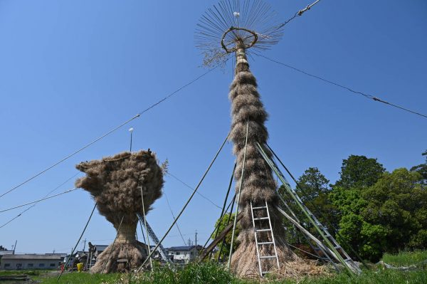 竹、タネギ（枯れた菜種穀）、ヨシ、稲わらなどを使って結った松明