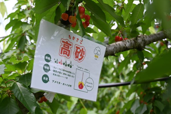 品種ごとの特徴が分かるプレート