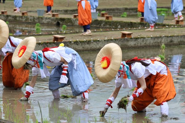 苗を植える「田植女」