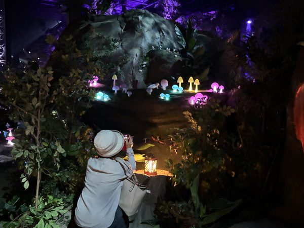 「きのこの丘」命を終えた動植物を分解して土に還し、森の循環を作り出すきのこたち