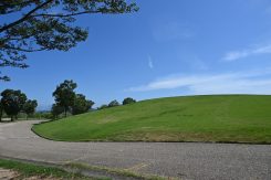 桐生選手を育てた芝生の坂