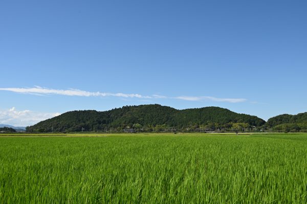 近江風土記の丘の正面には安土山がそびえる