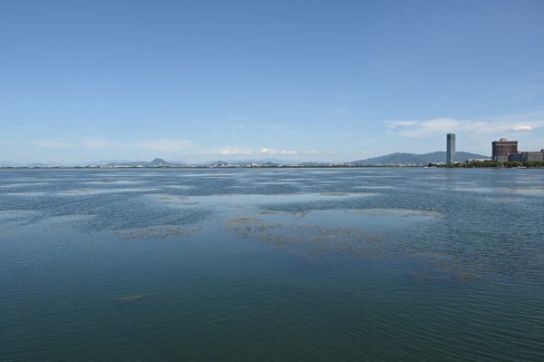琵琶湖南湖が広がる