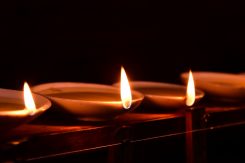 なたね油に、い草の芯が使われる