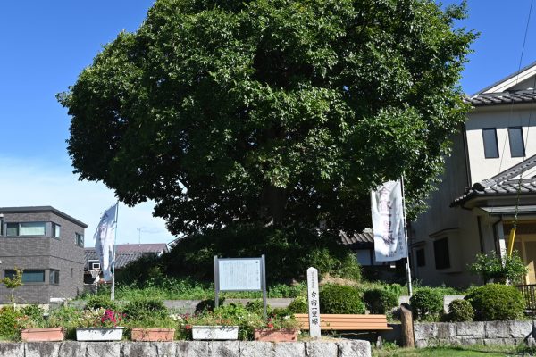 江戸・日本橋から128番目の今宿一里塚