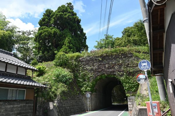旧東海道を見下ろす弘法杉