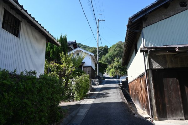 坂の途中に日吉神社があり、そこから石段を登り切ると観音正寺に着く