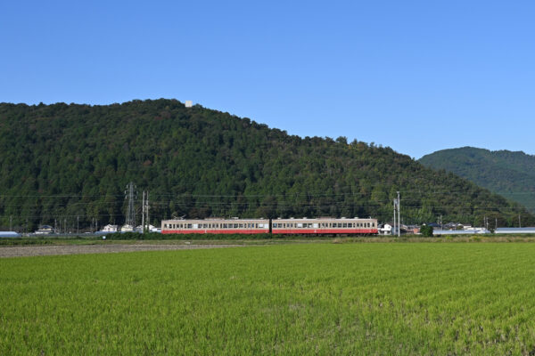 河辺の森～五箇荘間