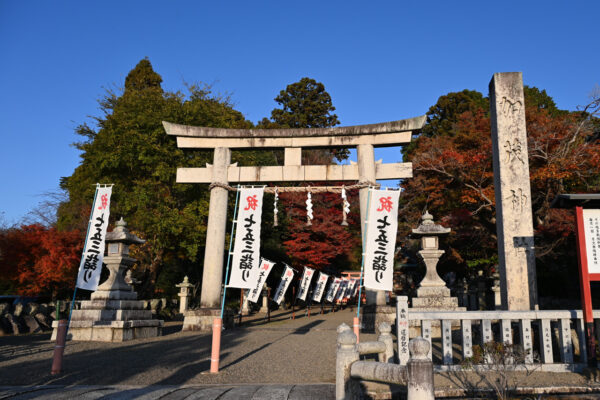 縁結びや夫婦和合のご利益のある神社としても知られている