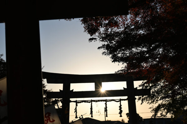 11月中旬から翌年2月中旬の間は夕陽が鳥居をくぐる