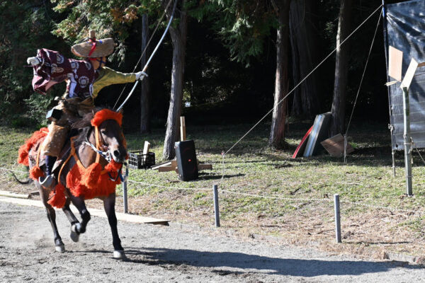 疾走する馬から的をめがけて矢を放つ「流鏑馬」