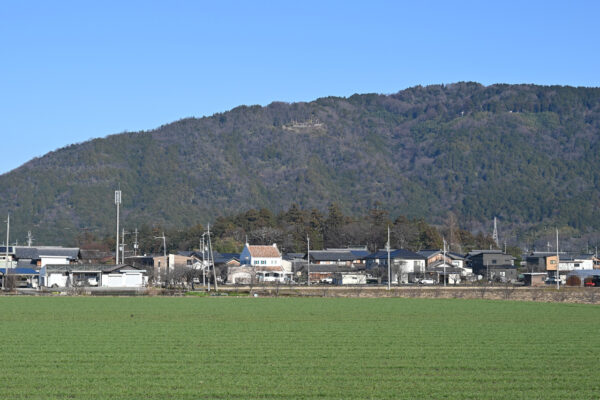 正面が老蘇の森