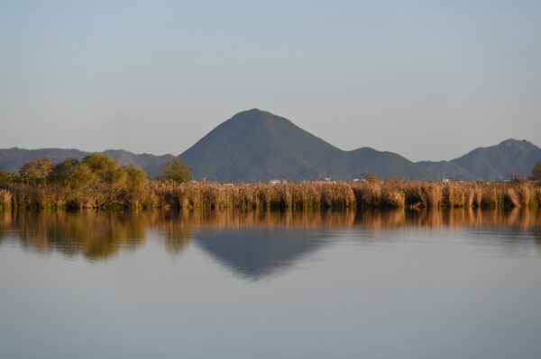 木浜内湖（守山市）