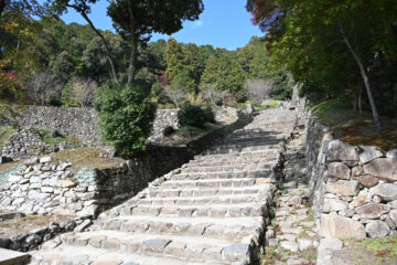 大手門から山腹まで約180メートルにわたって直線的に延びる大手道