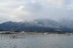 1000年以上の歴史を持つ「エリ漁」の網も間近に見える