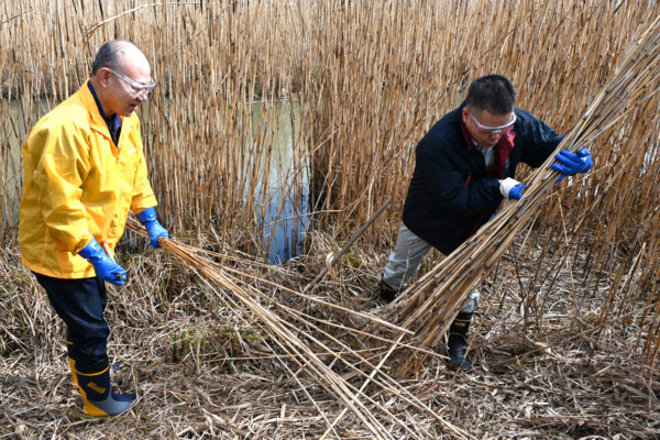三日月知事と伊藤園 天本博文氏