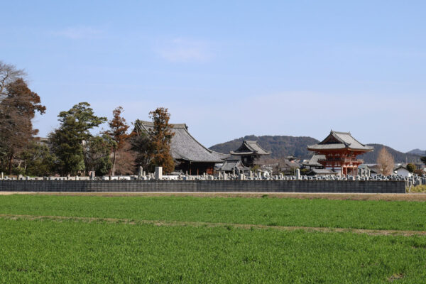 浄厳院全景と安土山