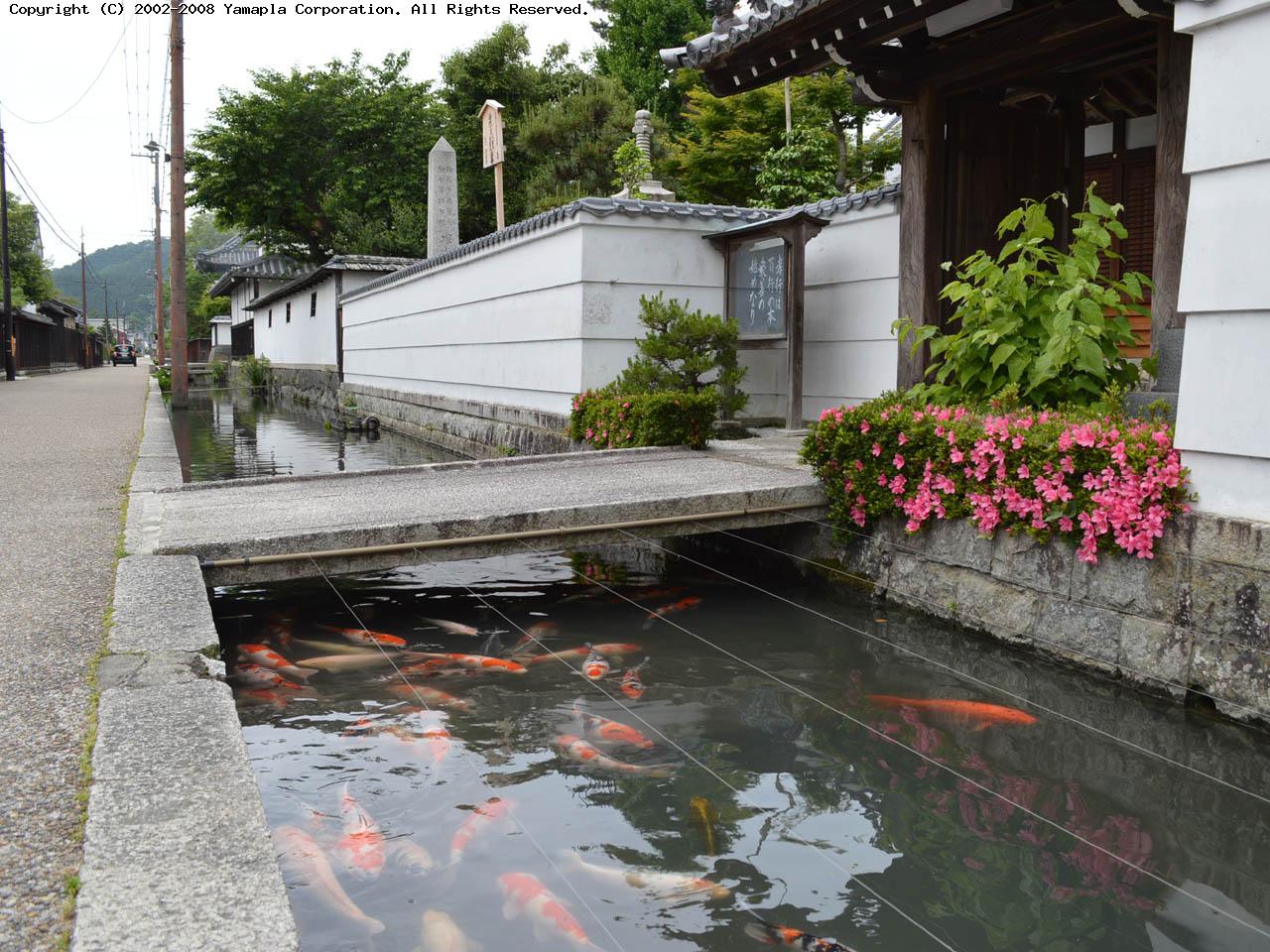 屋敷 五個荘 近江 商人