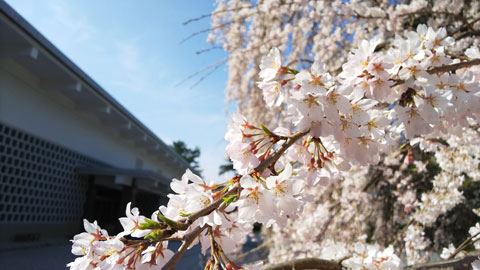 大和文華館