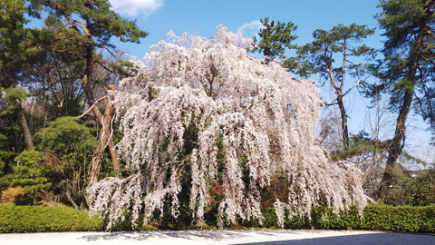 大和文華館