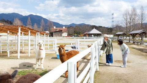 滋賀農業公園 ブルーメの丘