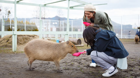 滋賀農業公園 ブルーメの丘