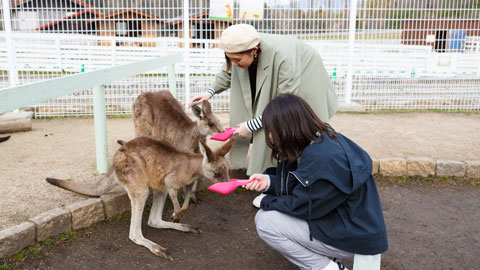 滋賀農業公園 ブルーメの丘